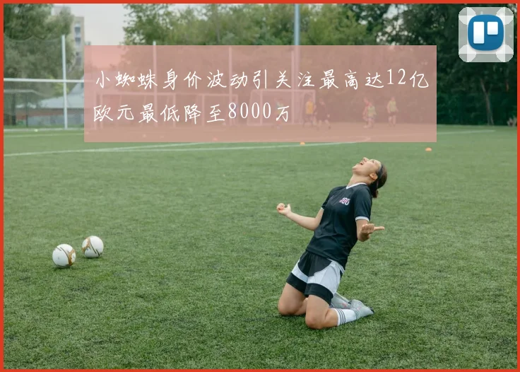 小蜘蛛身价波动引关注最高达12亿欧元最低降至8000万