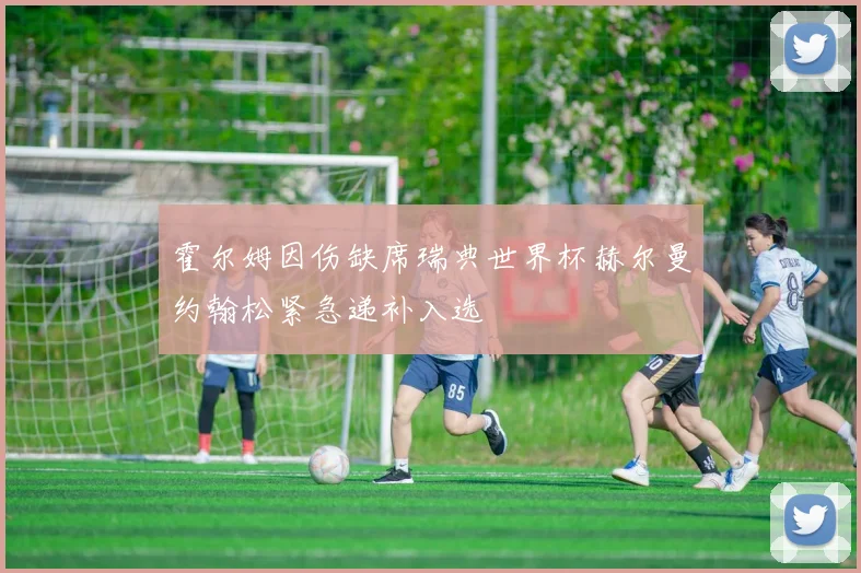 霍尔姆因伤缺席瑞典世界杯赫尔曼约翰松紧急递补入选