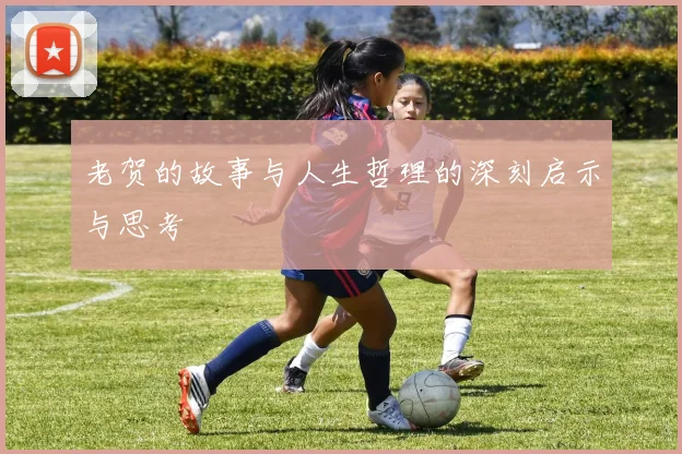 老贺的故事与人生哲理的深刻启示与思考