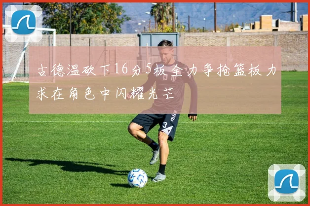 古德温砍下16分5板全力争抢篮板力求在角色中闪耀光芒